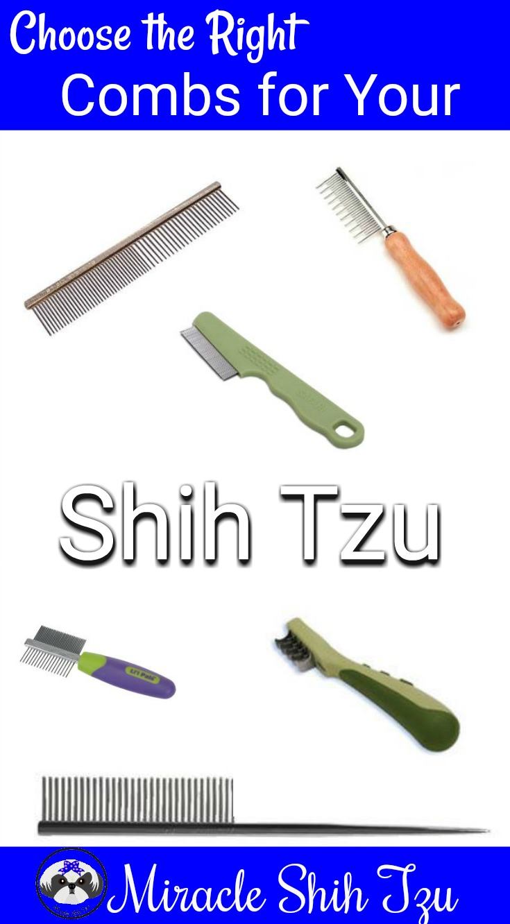 shih tzu hair brush