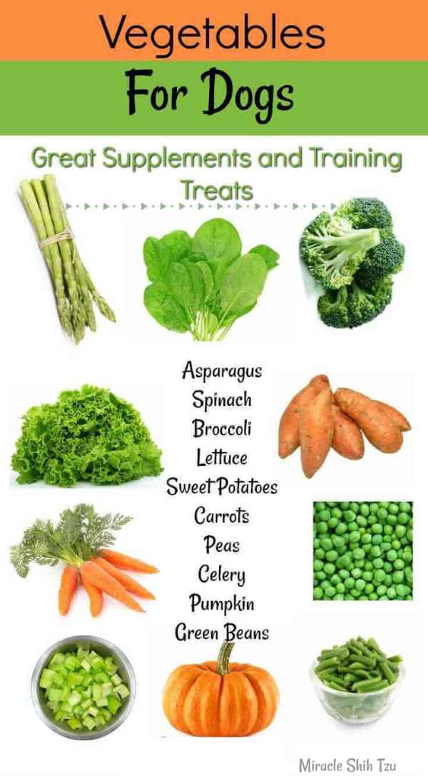 what fruit and veg can dogs eat