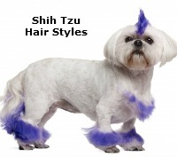 79+ Shih Tzu Hair Styles For Female
